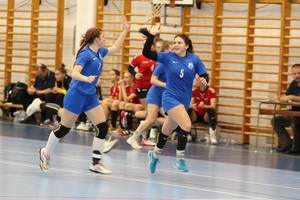 Egerszegi KK-Alba Fehrvr 28-29